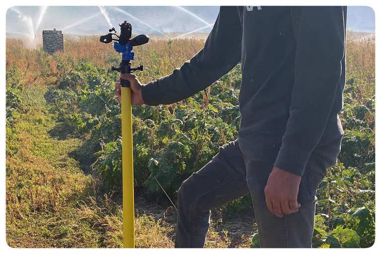 رایزر آبپاش آبیاری بارانی