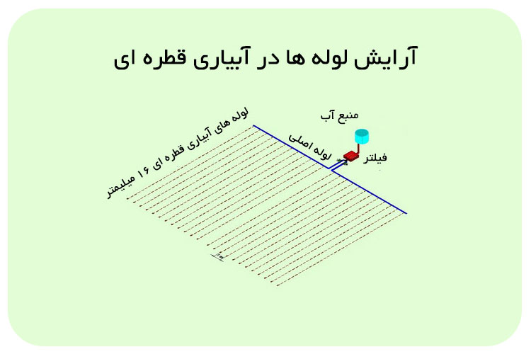 آرایش لوله ها در آبیاری قطره ای