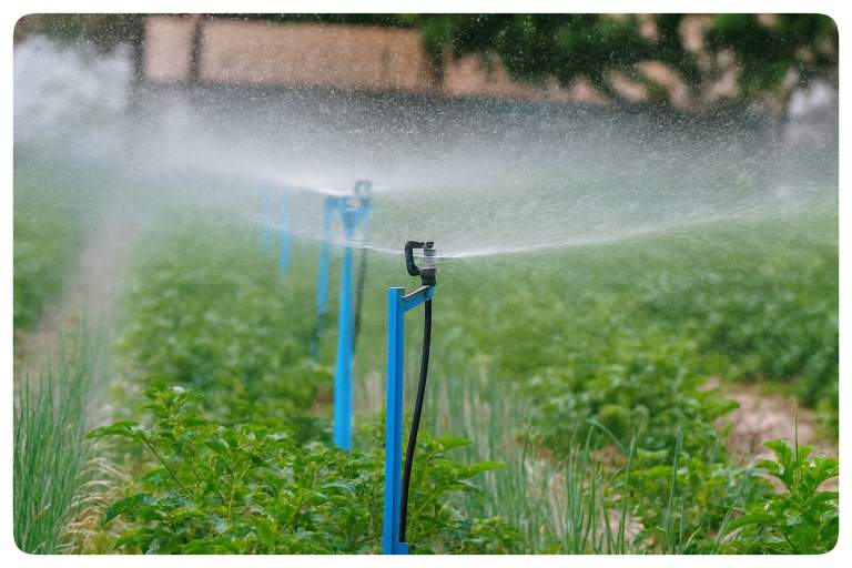 میکرو آبپاش، میکروجت، میکرواسپرینکلر