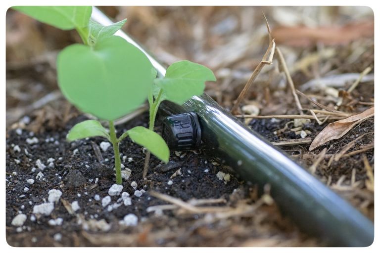 قطره چکان تنظیم شونده آبیاری