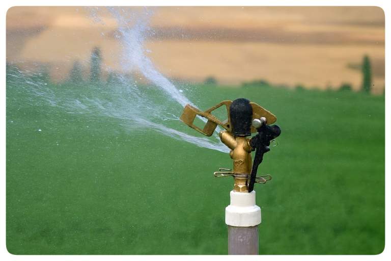 انواع آبپاش آبیاری بارانی