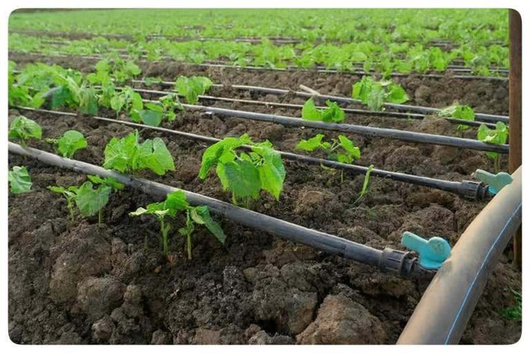 کاربرد های نوار تیپ