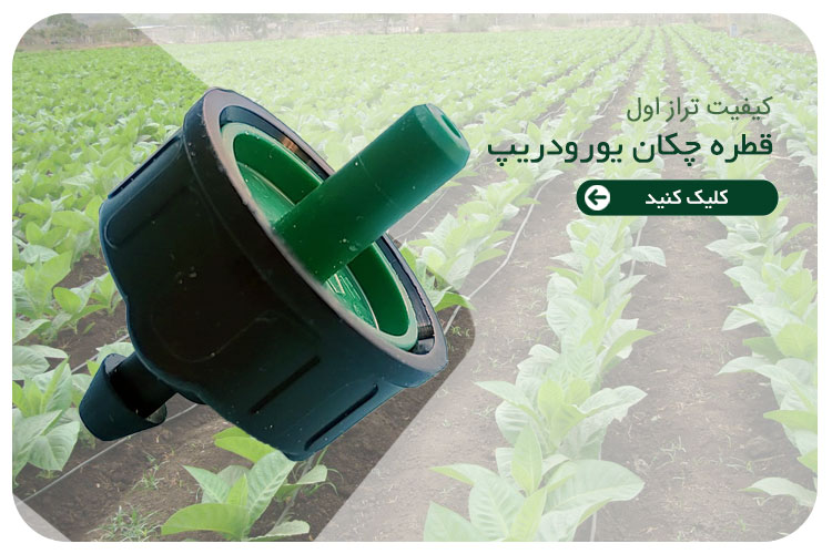 قطره چکان یورودریپ