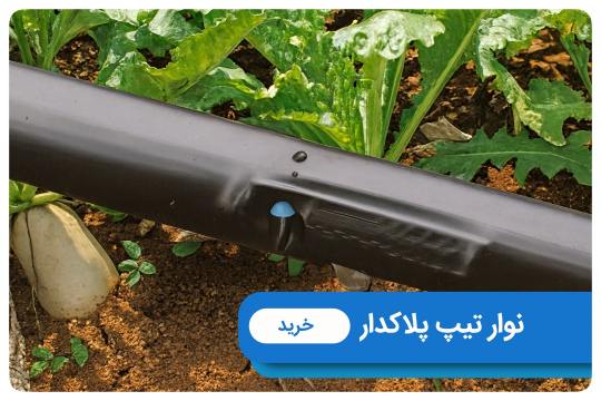 خرید نوار تیپ پلاکدار