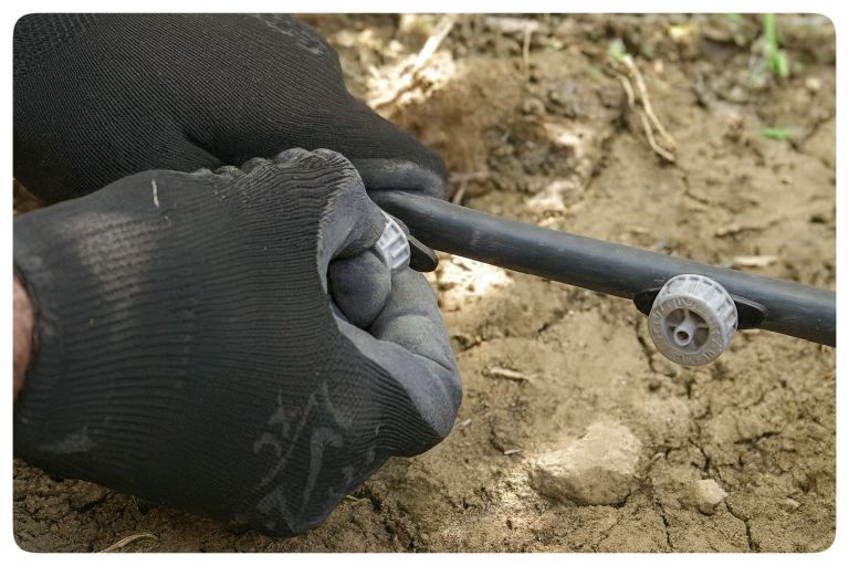 نصب قطره چکان روی لوله آبیاری قطره ای