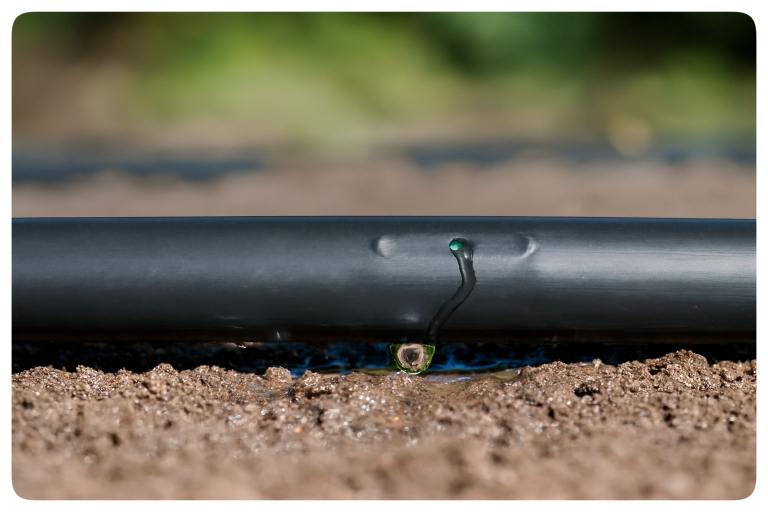 نوار تیپ پلاکدار