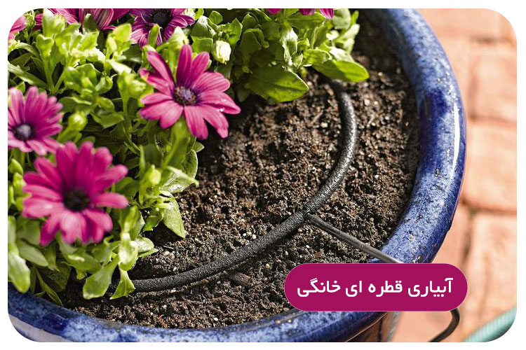 آبیاری قطره ای خانگی