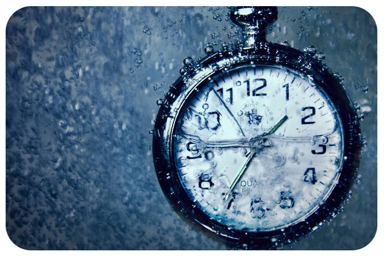 صرفه جویی در مصرف آب با تایمر مه پاش