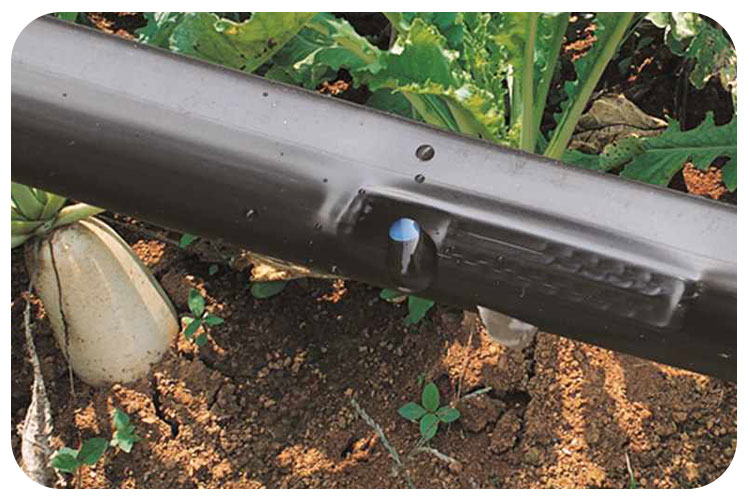 نوار آبیاری پلاک دار و طول عمر بیشتر آن!