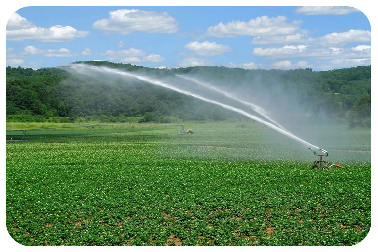 هر هکتار چند عدد آبپاش لازم دارد؟