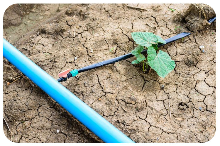 نکاتی کاربردی و مهم درباره نوار آبیاری