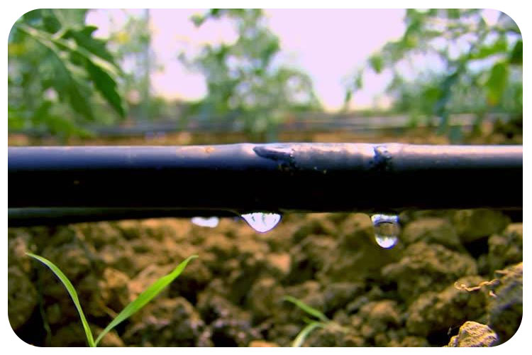 آبیاری قطره ای چیست؟