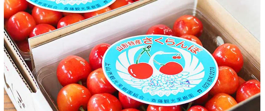باغداری گیلاس به سبک ژاپنی ها