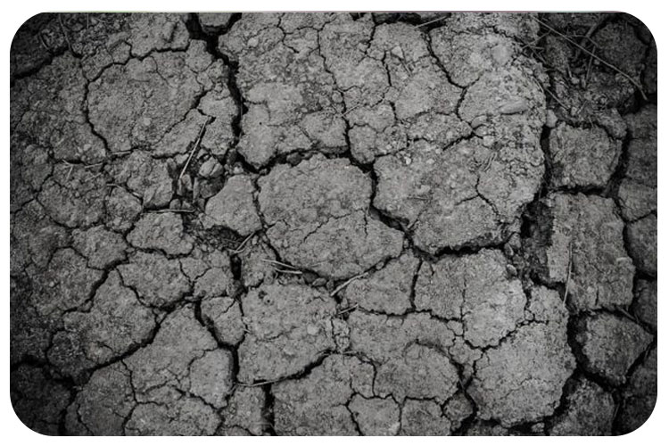 اصلاح PH خاک در خانه