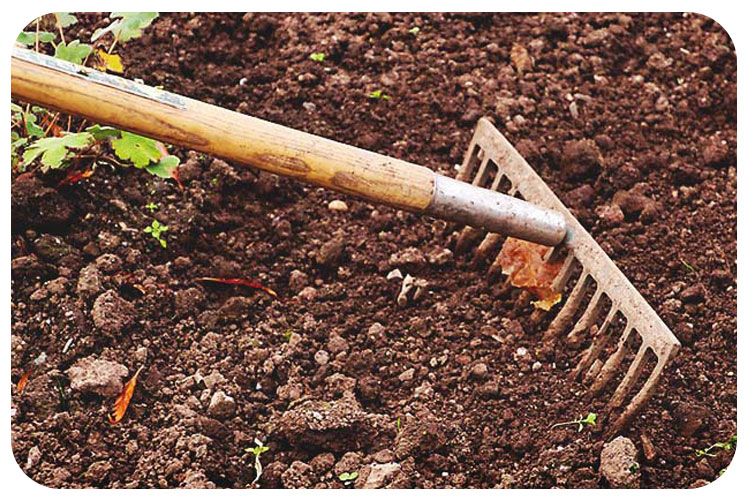 PH خاک را خودمان پیدا کنیم؟