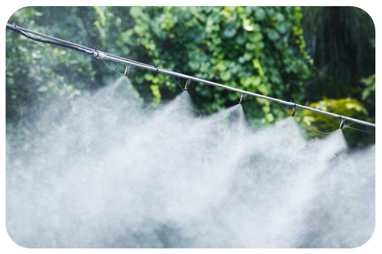 راهنمای خرید مه پاش