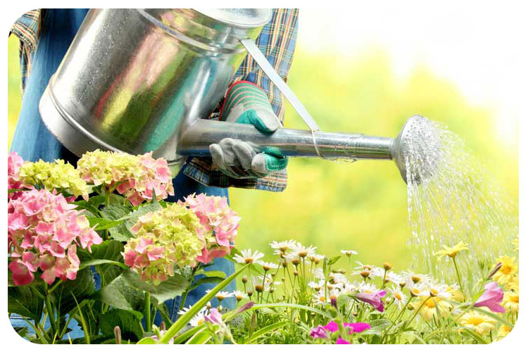 مناسب ترین سیستم آبیاری برای من