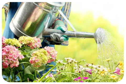 مناسب ترین سیستم آبیاری برای من
