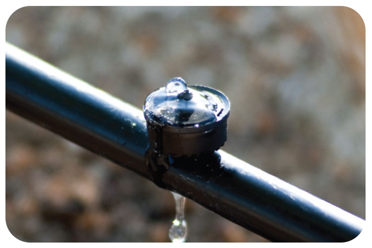 چگونه اصل بودن قطره چکان یورودریپ را تشخیص دهیم؟