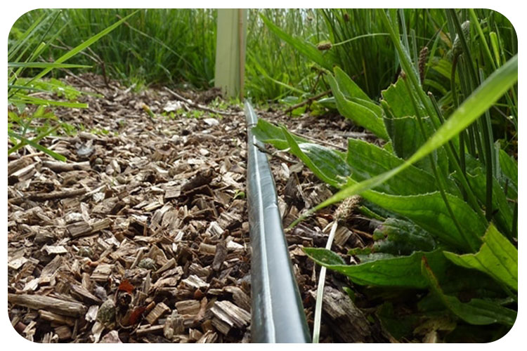 مقایسه و معرفی انواع نوار تیپ آبیاری