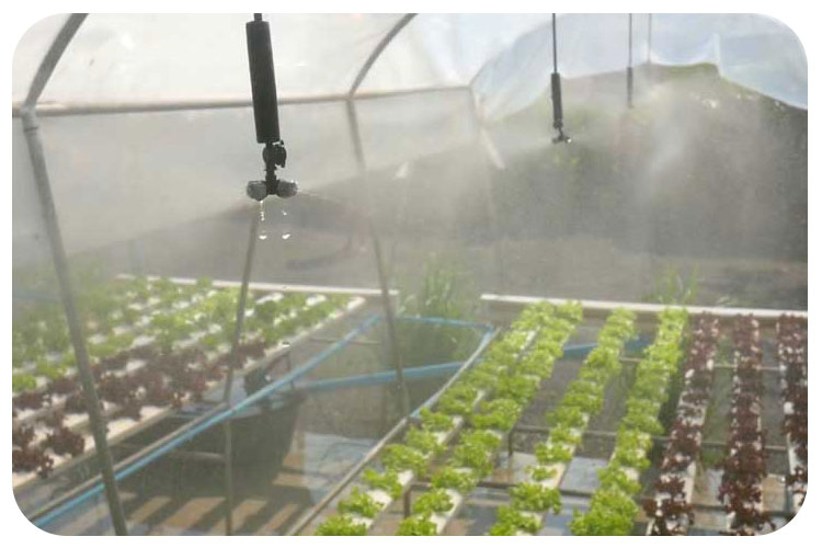 مه پاش و کاربرد های شگفت انگیز آن