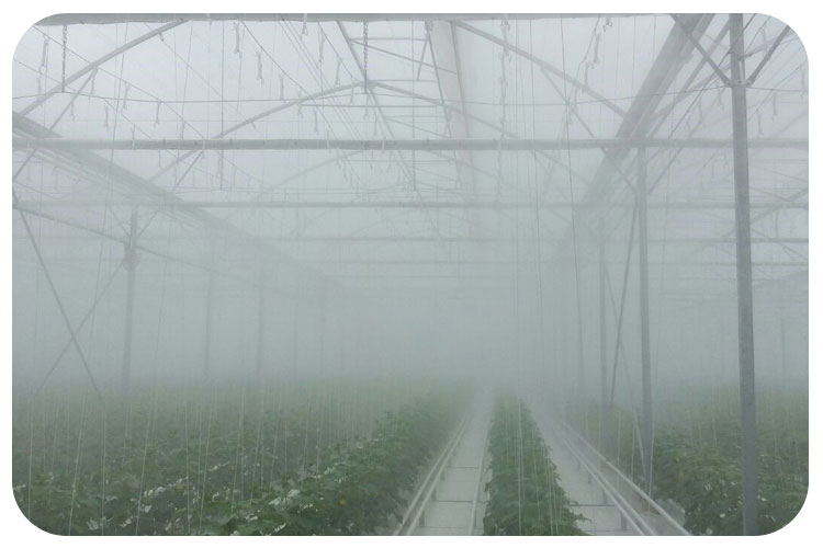 تاثیر سیستم میست گلخانه‌ای بررشد گیاهان