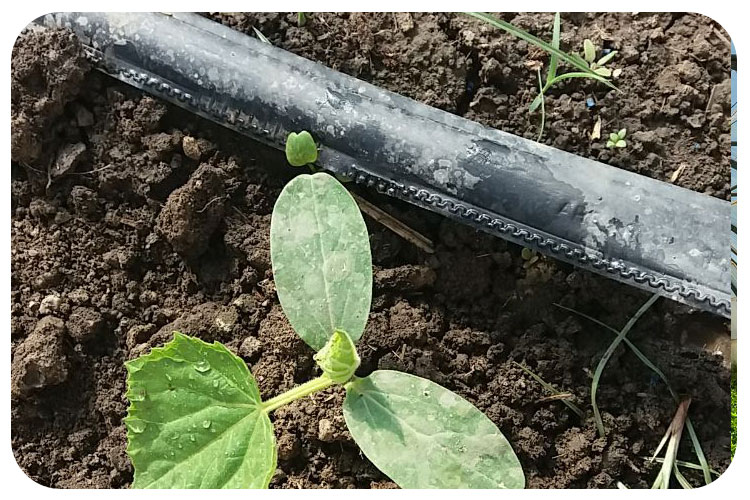 نوار تیپ چیست و نکات کاربردی استفاده از آن