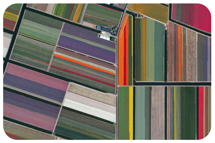 تیپ درز دار خوب را چگونه تشخیص دهیم؟