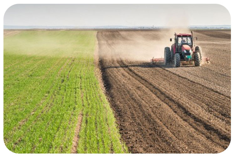 آیا نوار آبیاری درز دار می‌تواند جای آبیاری سنتی را پر کند؟