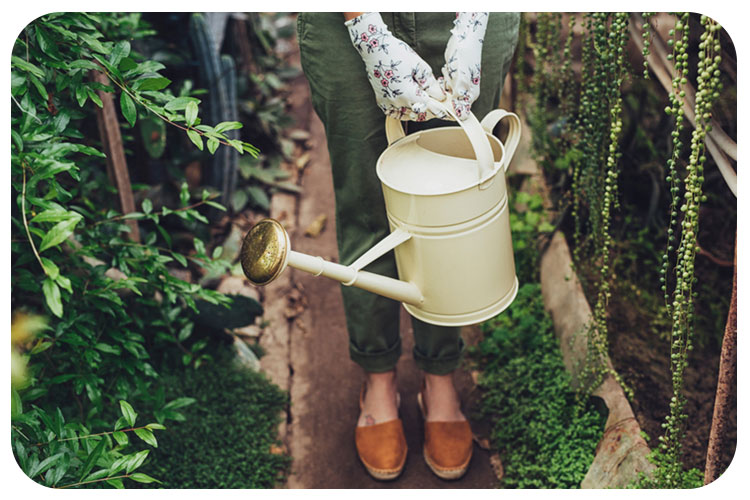 7 اقدام ضروری قبل از شروع فصل آبیاری جدید