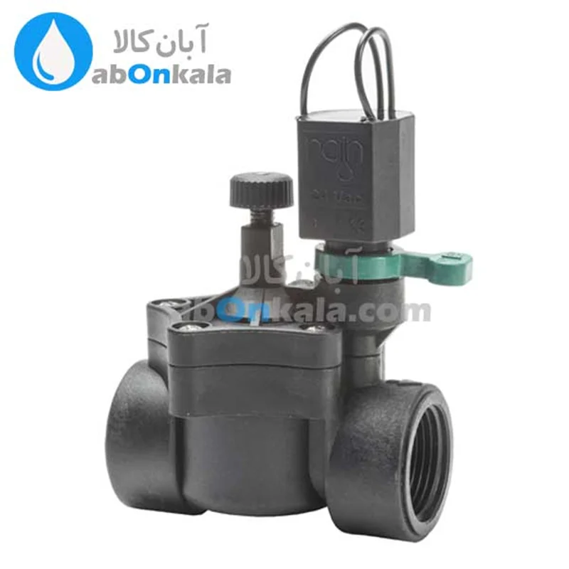 شیر برقی رین ایتالیا